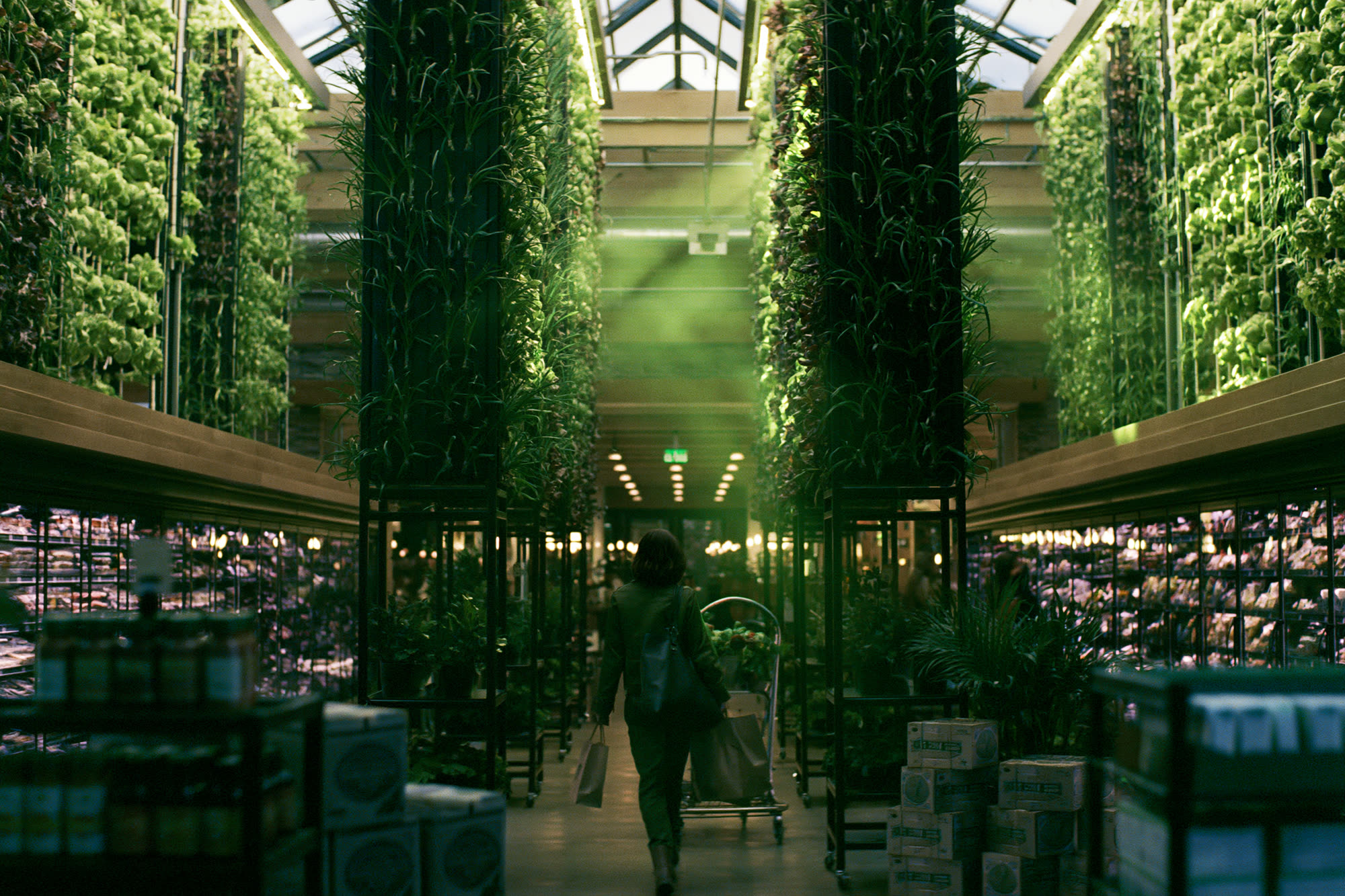 Shopper walking beneath towering indoor grow columns of leafy greens